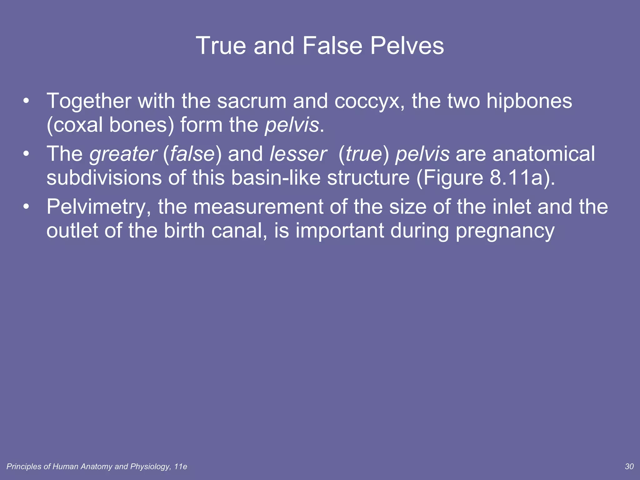 True and False Pelves Together with the sacrum and coccyx, the two hipbones (coxal bones) form the  pelvis . The  greater  ( false ) and  lesser   ( true )  pelvis  are anatomical subdivisions of this basin-like structure (Figure 8.11a). Pelvimetry, the measurement of the size of the inlet and the outlet of the birth canal, is important during pregnancy 