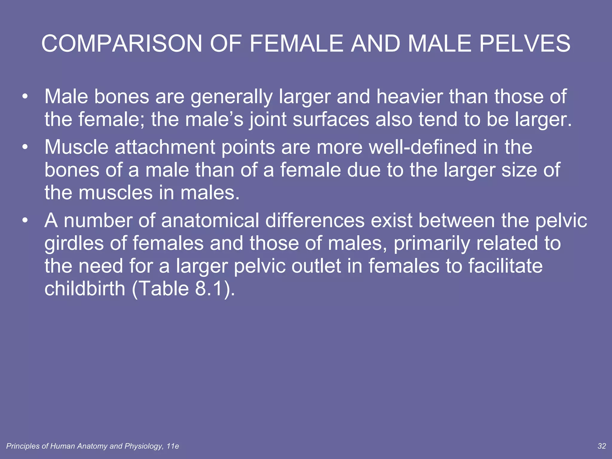 COMPARISON OF FEMALE AND MALE PELVES Male bones are generally larger and heavier than those of the female; the male’s joint surfaces also tend to be larger. Muscle attachment points are more well-defined in the bones of a male than of a female due to the larger size of the muscles in males. A number of anatomical differences exist between the pelvic girdles of females and those of males, primarily related to the need for a larger pelvic outlet in females to facilitate childbirth (Table 8.1). 
