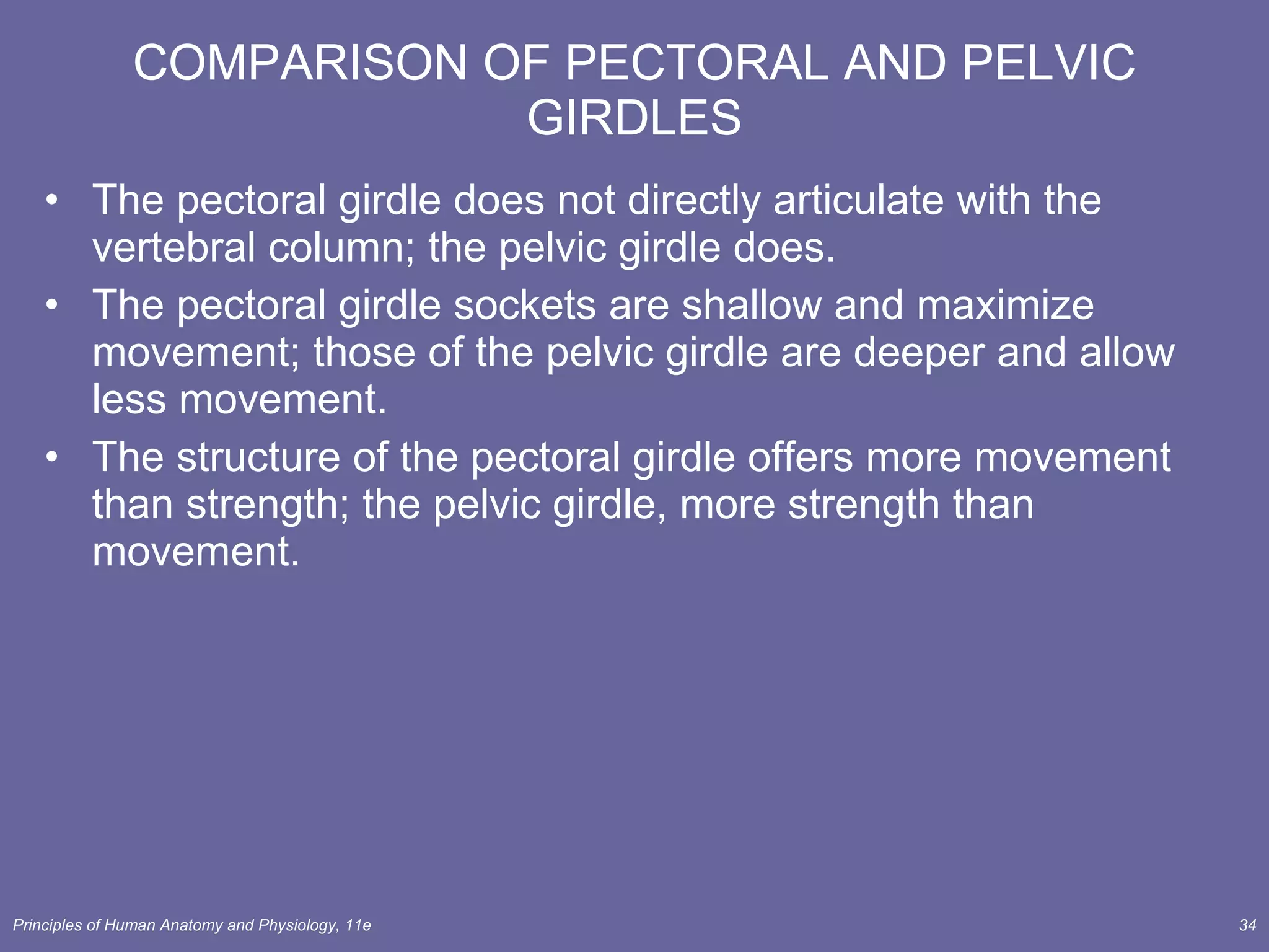 COMPARISON OF PECTORAL AND PELVIC GIRDLES The pectoral girdle does not directly articulate with the vertebral column; the pelvic girdle does. The pectoral girdle sockets are shallow and maximize movement; those of the pelvic girdle are deeper and allow less movement. The structure of the pectoral girdle offers more movement than strength; the pelvic girdle, more strength than movement. 