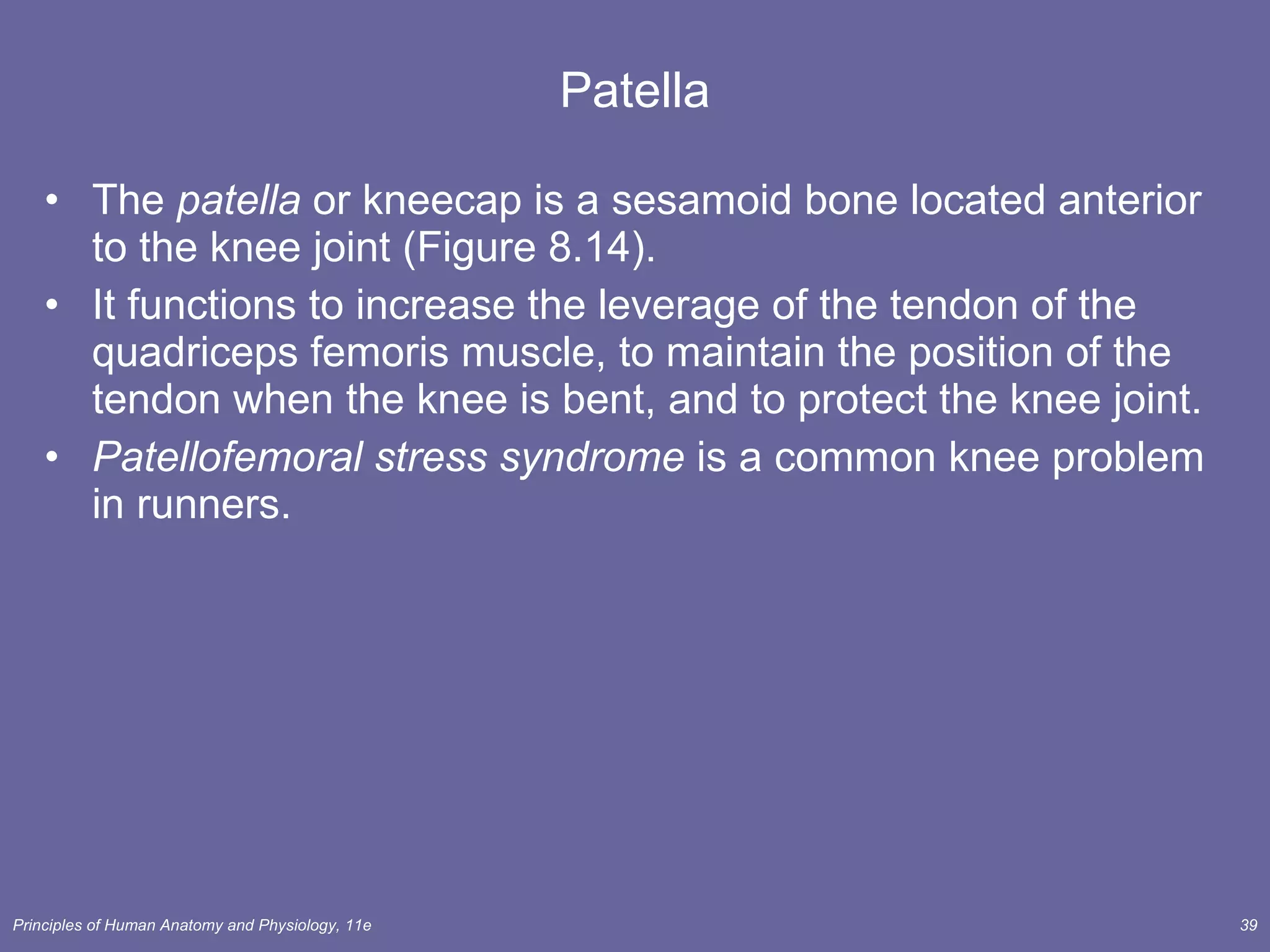 Patella The  patella  or kneecap is a sesamoid bone located anterior to the knee joint (Figure 8.14). It functions to increase the leverage of the tendon of the quadriceps femoris muscle, to maintain the position of the tendon when the knee is bent, and to protect the knee joint. Patellofemoral stress syndrome  is a common knee problem in runners.  