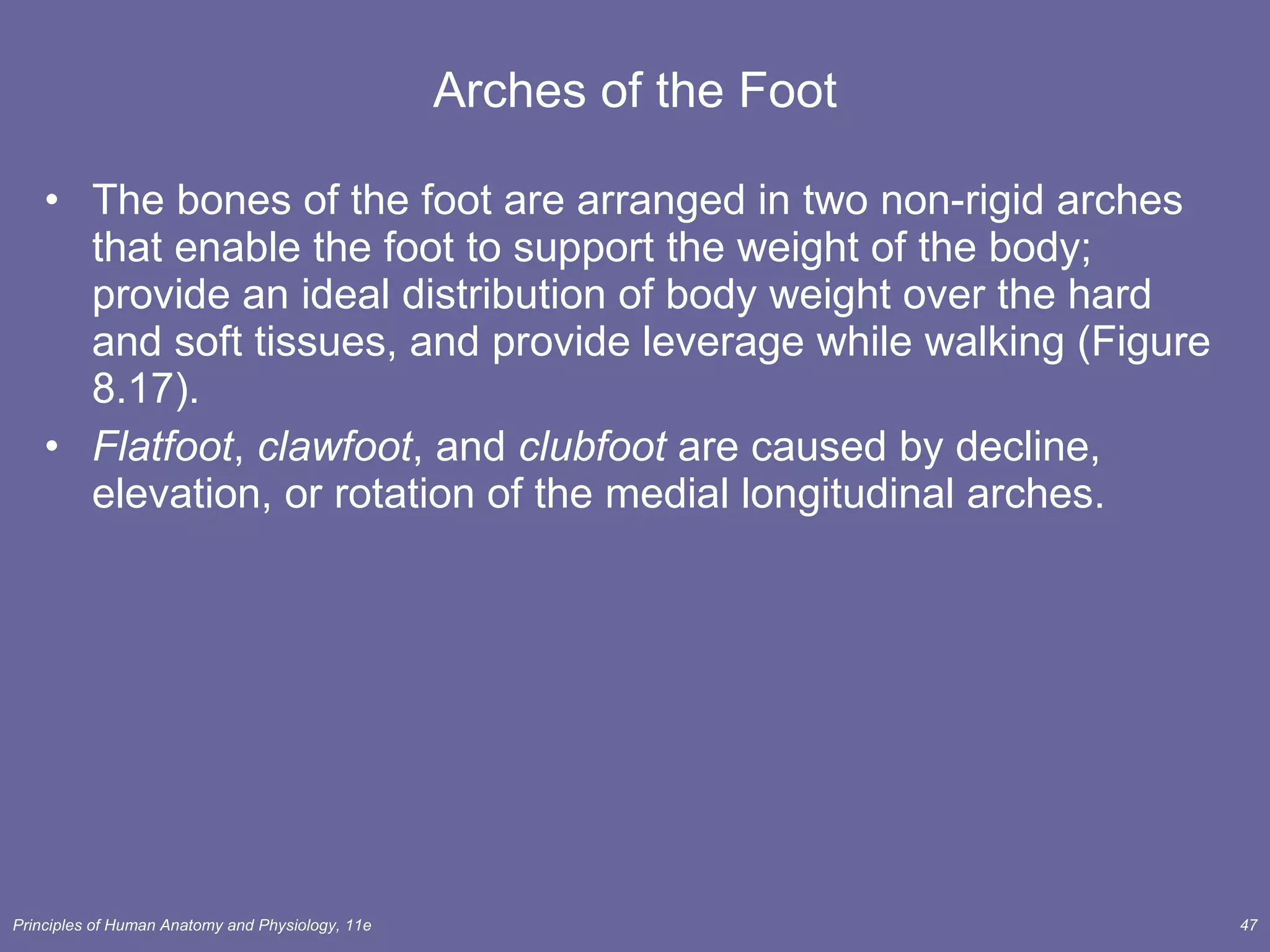 Arches of the Foot The bones of the foot are arranged in two non-rigid arches that enable the foot to support the weight of the body; provide an ideal distribution of body weight over the hard and soft tissues, and provide leverage while walking (Figure 8.17). Flatfoot ,  clawfoot , and  clubfoot  are caused by decline, elevation, or rotation of the medial longitudinal arches.  