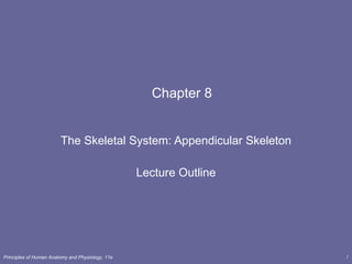 Chapter 8 The Skeletal System: Appendicular Skeleton Lecture Outline 