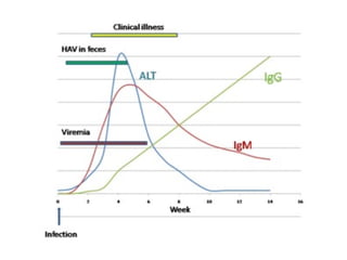 Ghav Types Lecture 8a - HAV-HEV-HGV-RMC | PPT