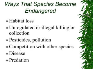 Ways That Species Become
Endangered
Habitat loss
Unregulated or illegal killing or
collection
Pesticides, pollution
Competition with other species
Disease
Predation
 