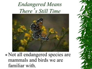 Endangered Means
There’s Still Time
Not all endangered species are
mammals and birds we are
familiar with.
 