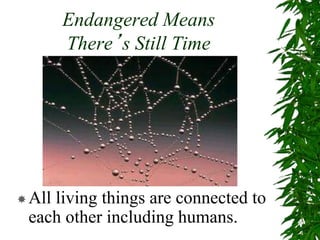 Endangered Means
There’s Still Time
All living things are connected to
each other including humans.
 