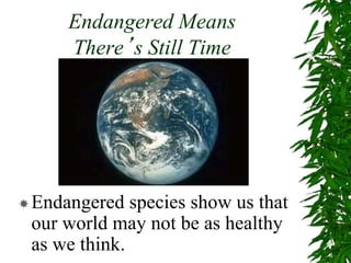 Endangered Means
There’s Still Time
Endangered species show us that
our world may not be as healthy
as we think.
 