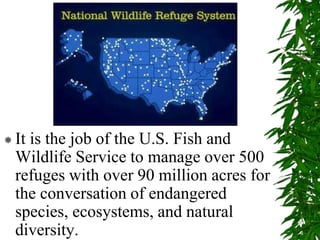  It is the job of the U.S. Fish and
Wildlife Service to manage over 500
refuges with over 90 million acres for
the conversation of endangered
species, ecosystems, and natural
diversity.
 