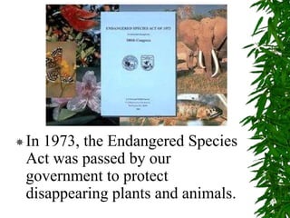 In 1973, the Endangered Species
Act was passed by our
government to protect
disappearing plants and animals.
 