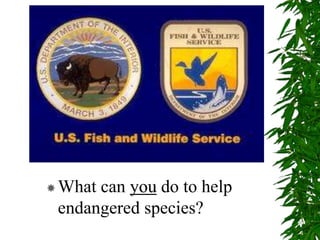 What can you do to help
endangered species?
 
