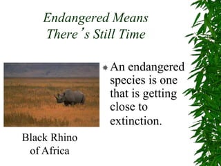 Endangered Means
There’s Still Time
An endangered
species is one
that is getting
close to
extinction.
Black Rhino
of Africa
 