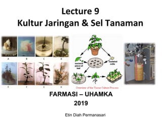 Lecture 9
Kultur Jaringan & Sel Tanaman
FARMASI – UHAMKA
2019
Etin Diah Permanasari
 