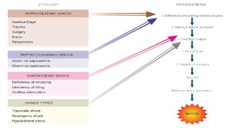 Hymodiamic Notes LECTURE CLASS NOTES 9 HEMODYNAMIC CONDITIONS.pptx