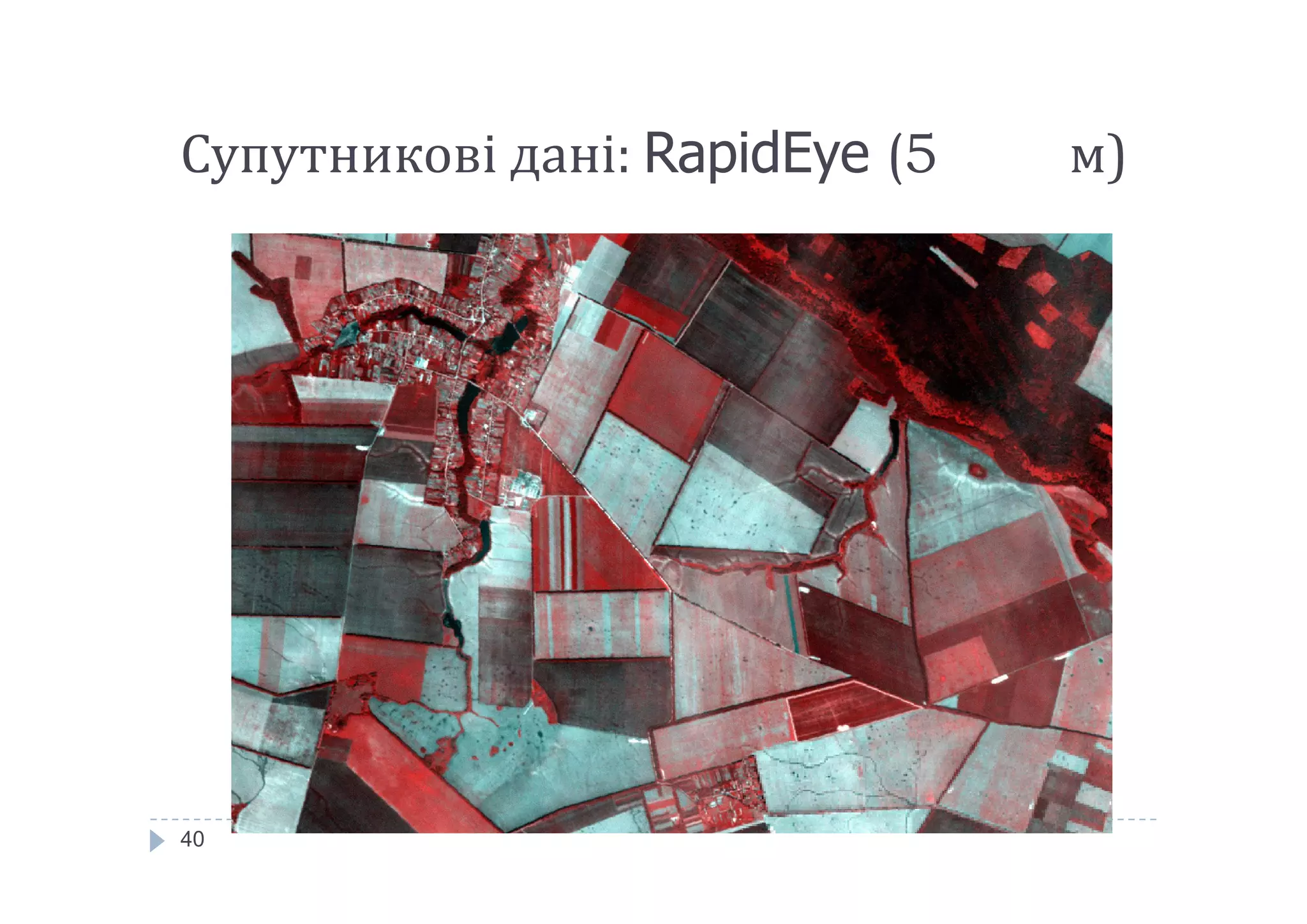 Супутникові дані: RapidEye (5 м)
40
 