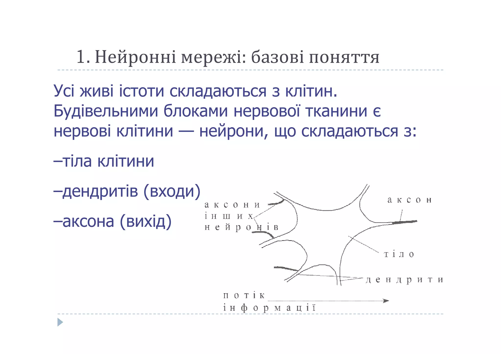 1. Нейронні мережі: базові поняття
Усі живі істоти складаються з клітин.
Будівельними блоками нервової тканини є
нервові клітини — нейрони, що складаються з:
–тіла клітини
–дендритів (входи)
–аксона (вихід)
 