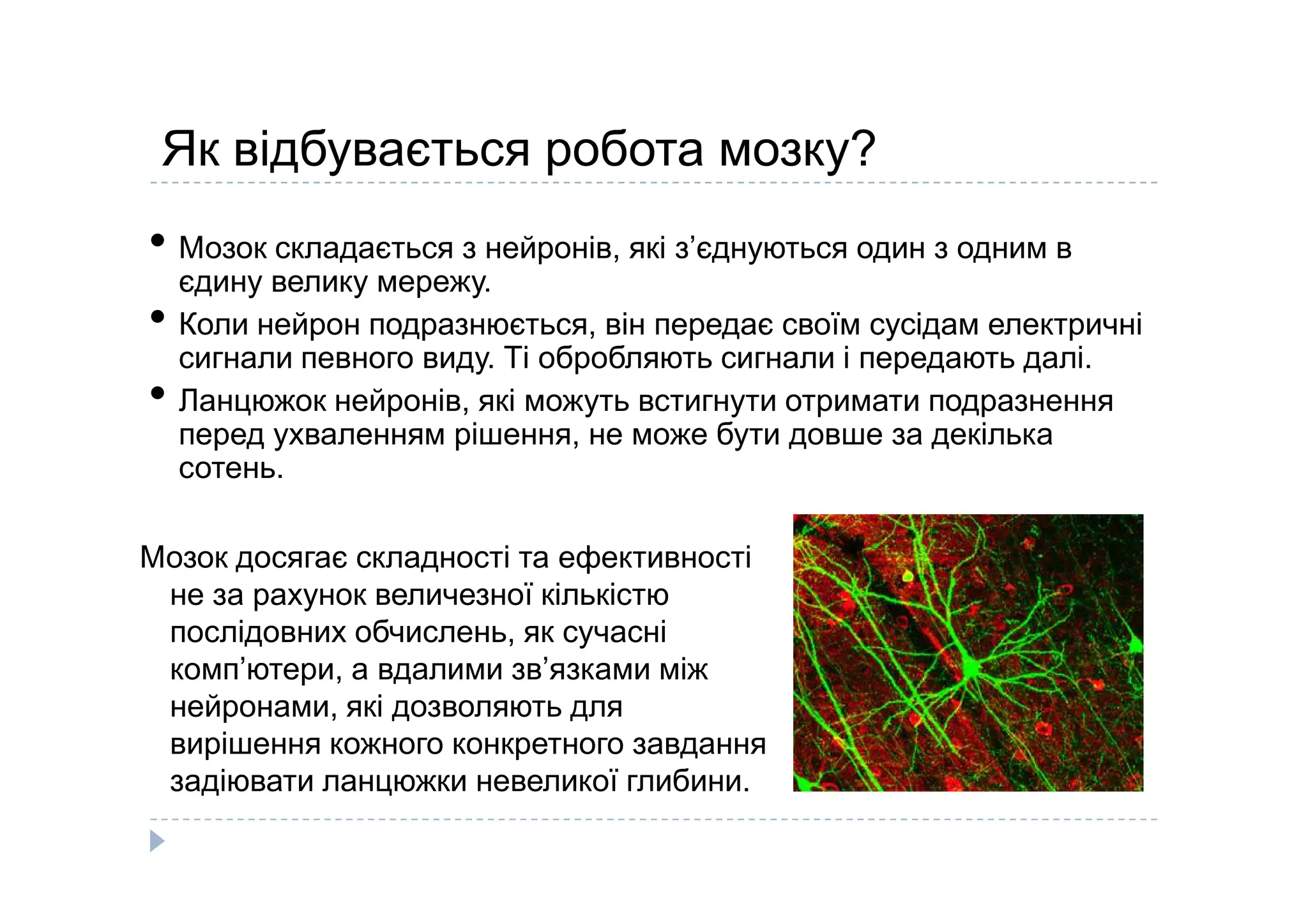 Як відбувається робота мозку?
• Мозок складається з нейронів, які з’єднуються один з одним в
єдину велику мережу.
• Коли нейрон подразнюється, він передає своїм сусідам електричні
сигнали певного виду. Ті обробляють сигнали і передають далі.
• Ланцюжок нейронів, які можуть встигнути отримати подразнення
перед ухваленням рішення, не може бути довше за декілька
сотень.сотень.
Мозок досягає складності та ефективності
не за рахунок величезної кількістю
послідовних обчислень, як сучасні
комп’ютери, а вдалими зв’язками між
нейронами, які дозволяють для
вирішення кожного конкретного завдання
задіювати ланцюжки невеликої глибини.
 
