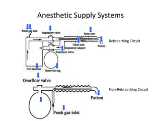 Anesthetic Supply Systems
Rebreathing Circuit
Non-Rebreathing Circuit
 