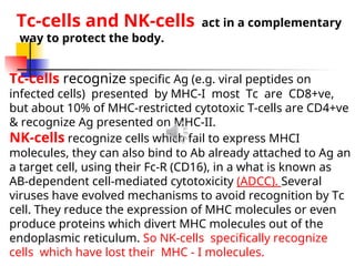 Tc-cells recognize specific Ag (e.g. viral peptides on
infected cells) presented by MHC-I most Tc are CD8+ve,
but about 10% of MHC-restricted cytotoxic T-cells are CD4+ve
& recognize Ag presented on MHC-II.
NK-cells recognize cells which fail to express MHCI
molecules, they can also bind to Ab already attached to Ag an
a target cell, using their Fc-R (CD16), in a what is known as
AB-dependent cell-mediated cytotoxicity (ADCC). Several
viruses have evolved mechanisms to avoid recognition by Tc
cell. They reduce the expression of MHC molecules or even
produce proteins which divert MHC molecules out of the
endoplasmic reticulum. So NK-cells specifically recognize
cells which have lost their MHC - I molecules.
Tc-cells and NK-cells act in a complementary
way to protect the body.
 