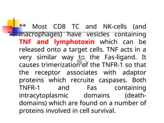 ** Most CD8 TC and NK-cells (and
macrophages) have vesicles containing
TNF and lymphotoxin which can be
released onto a target cells. TNF acts in a
very similar way to the Fas-ligand. It
causes trimerization of the TNFR-1 so that
the receptor associates with adaptor
proteins which recruite caspases. Both
TNFR-1 and Fas containing
intracytoplasmic domains (death-
domains) which are found on a number of
proteins involved in cell survival.
 