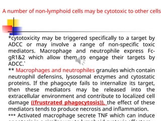 *cytotoxicity may be triggered specifically to a target by
ADCC or may involve a range of non-specific toxic
mediators. Macrophage and neutrophile express Fc-
gR1&2 which allow them to engage their targets by
ADCC.`
** Macrophages and neutrophiles granules which contain
neutrophil defensins, lysosomal enzymes and cytostatic
proteins. If the phagocyte fails to internalize its target,
then these mediators may be released into the
extracellular environment and contribute to localized cell
damage ((frustrated phagocytosis)), the effect of these
mediators tends to produce necrosis and inflammation.
*** Activated macrophage secrete TNF which can induce
A number of non-lymphoid cells may be cytotoxic to other cells,
 