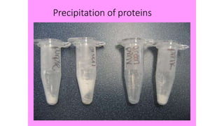 Precipitation of proteins
 