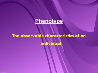 embriology of human | PPT