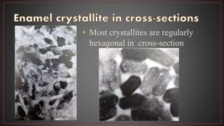 • Most crystallites are regularly
hexagonal in cross-section
 