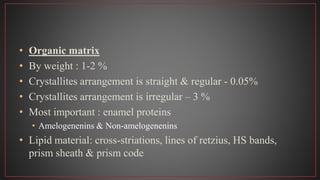 • Organic matrix
• By weight : 1-2 %
• Crystallites arrangement is straight & regular - 0.05%
• Crystallites arrangement is irregular – 3 %
• Most important : enamel proteins
• Amelogenenins & Non-amelogenenins
• Lipid material: cross-striations, lines of retzius, HS bands,
prism sheath & prism code
 