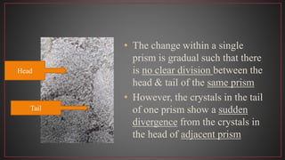 • The change within a single
prism is gradual such that there
is no clear division between the
head & tail of the same prism
• However, the crystals in the tail
of one prism show a sudden
divergence from the crystals in
the head of adjacent prism
Head
Tail
 
