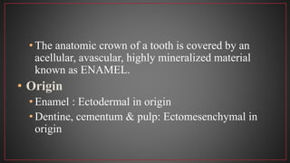• The anatomic crown of a tooth is covered by an
acellular, avascular, highly mineralized material
known as ENAMEL.
• Origin
• Enamel : Ectodermal in origin
• Dentine, cementum & pulp: Ectomesenchymal in
origin
 