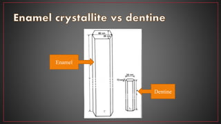 Enamel
Dentine
 