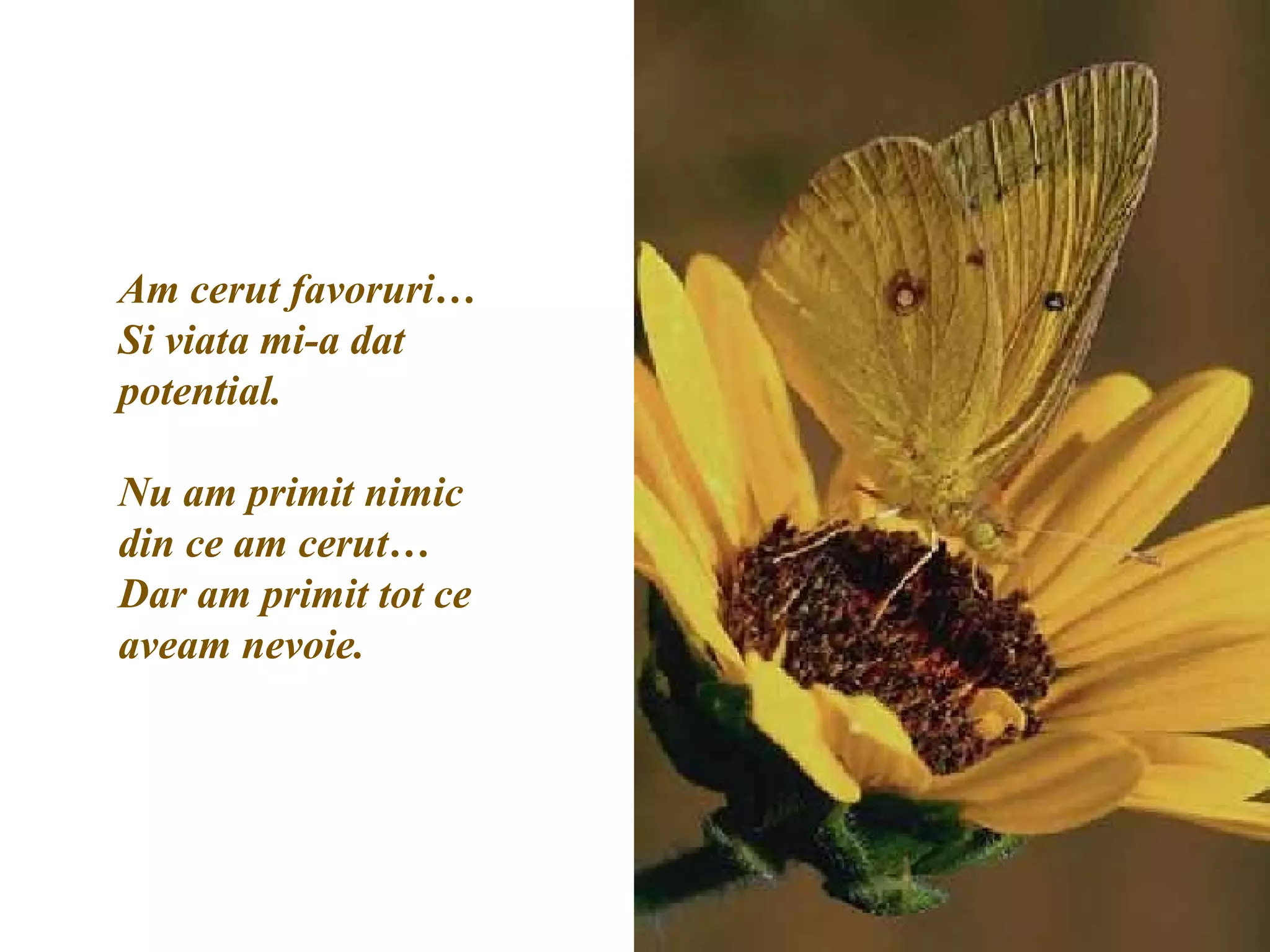 Am cerut favoruri… Si viata mi-a dat potential.  Nu am primit nimic din ce am cerut… Dar am primit tot ce aveam nevoie. 