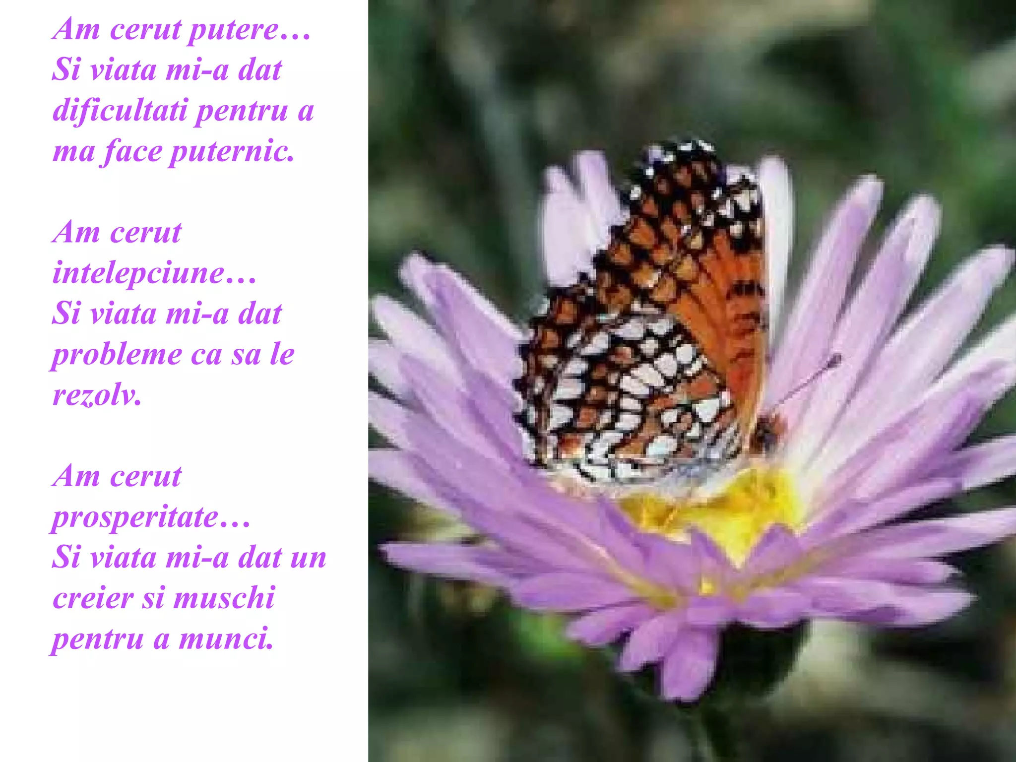 Am cerut putere… Si viata mi-a dat dificultati pentru a ma face puternic.  Am cerut intelepciune… Si viata mi-a dat probleme ca sa le rezolv. Am cerut prosperitate… Si viata mi-a dat un creier si muschi pentru a munci.  