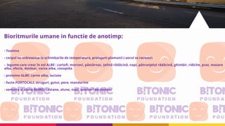 Bioritmurile umane in functie de anotimp:
- Toamna
- corpul se redreseaza la schimbarile de temperatura, protejam plamanii ( aerul se raceste)
- legume care cresc în sol ALBE : cartofi, morcovi, păstârnac, ţelină rădăcină, napi, pătrunjelul rădăcină, ghimbir, ridiche, praz, mazare
alba, sfecla, dovleac, varza alba, conopida
- proteine ALBE: carne alba, lactate
- fucte PORTOCALI: struguri, gutui, pere, mandarine
- seminte si alune MARO: castane, alune, nuci, samburi de dovleac
 