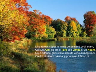 Mi-a rămas săpat în minte de pe când copil eram,
Că sunt Om, că am o Ţară şi o Limbă şi un Neam,
Că-n adâncul gliei sfinte stau de veacuri moşii mei,
Că din ei răsare pâinea şi prin mine trăiesc ei.
 