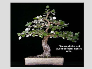 Fiecare dintre noi avem defectul nostru unic. 