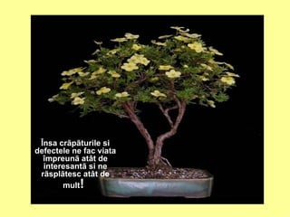 Însa crãpãturile si defectele ne fac viata împreunã atât de interesantã si ne rãsplãtesc atât de mult !   