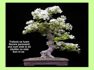 Trebuie sa luam fiecare persoanã asa cum este si sã cãutãm ce este bun in ea .   