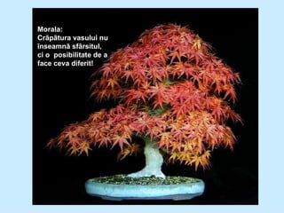 Morala:  Crãpãtura vasului nu înseamnã sfârsitul,  ci o    posibilitate de a face ceva   diferit! 