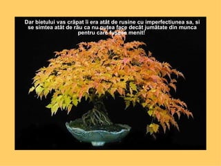 Dar bietului vas crãpat îi era atât de rusine cu imperfectiunea sa, si se simtea atât de rãu ca nu putea face decât jumãtate din munca pentru care fusese menit!  