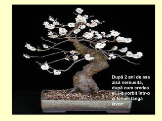 Dupã 2 ani de asa zisã nereusitã, dupã cum credea el, i-a vorbit într-o zi femeii lângã izvor: 