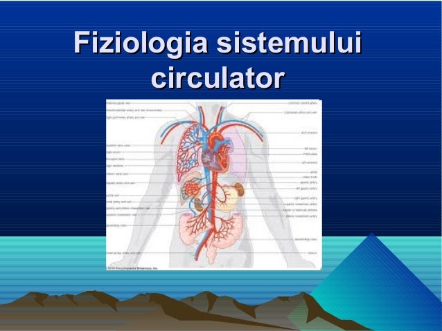 Lectie 24 fiziologia_sistemului_circulator.