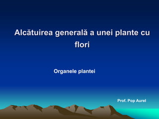 Alcătuirea generală a unei plante cu
flori
Organele plantei
Prof. Pop Aurel
 