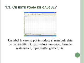 1.3. CE ESTE FOAIA DE CALCUL?




 Un tabel în care se pot introduce şi manipula date
 de natură diferită: text, valori numerice, formule
       matematice, reprezentări grafice, etc.
 