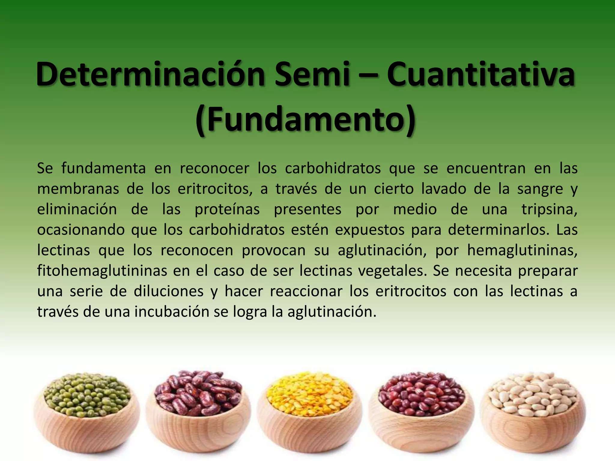 Determinación Semi – Cuantitativa
(Fundamento)
Se fundamenta en reconocer los carbohidratos que se encuentran en las
membranas de los eritrocitos, a través de un cierto lavado de la sangre y
eliminación de las proteínas presentes por medio de una tripsina,
ocasionando que los carbohidratos estén expuestos para determinarlos. Las
lectinas que los reconocen provocan su aglutinación, por hemaglutininas,
fitohemaglutininas en el caso de ser lectinas vegetales. Se necesita preparar
una serie de diluciones y hacer reaccionar los eritrocitos con las lectinas a
través de una incubación se logra la aglutinación.
 