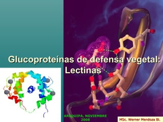 Glucoproteínas de defensa vegetal:
            Lectinas



            AREQUIPA, NOVIEMBRE
                   2008           MSc. Werner Mendoza Bl.
 