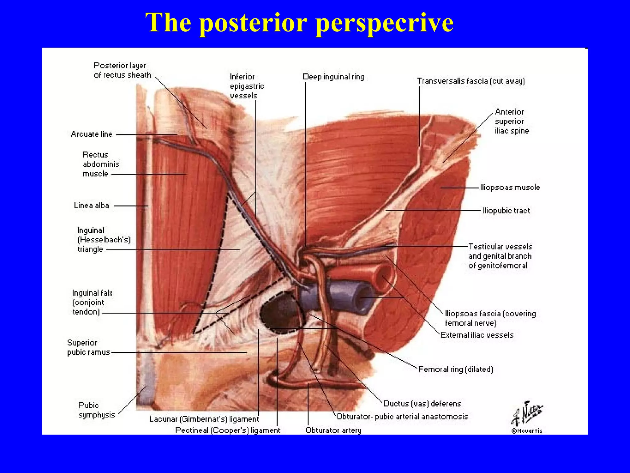 The posterior perspecrive 