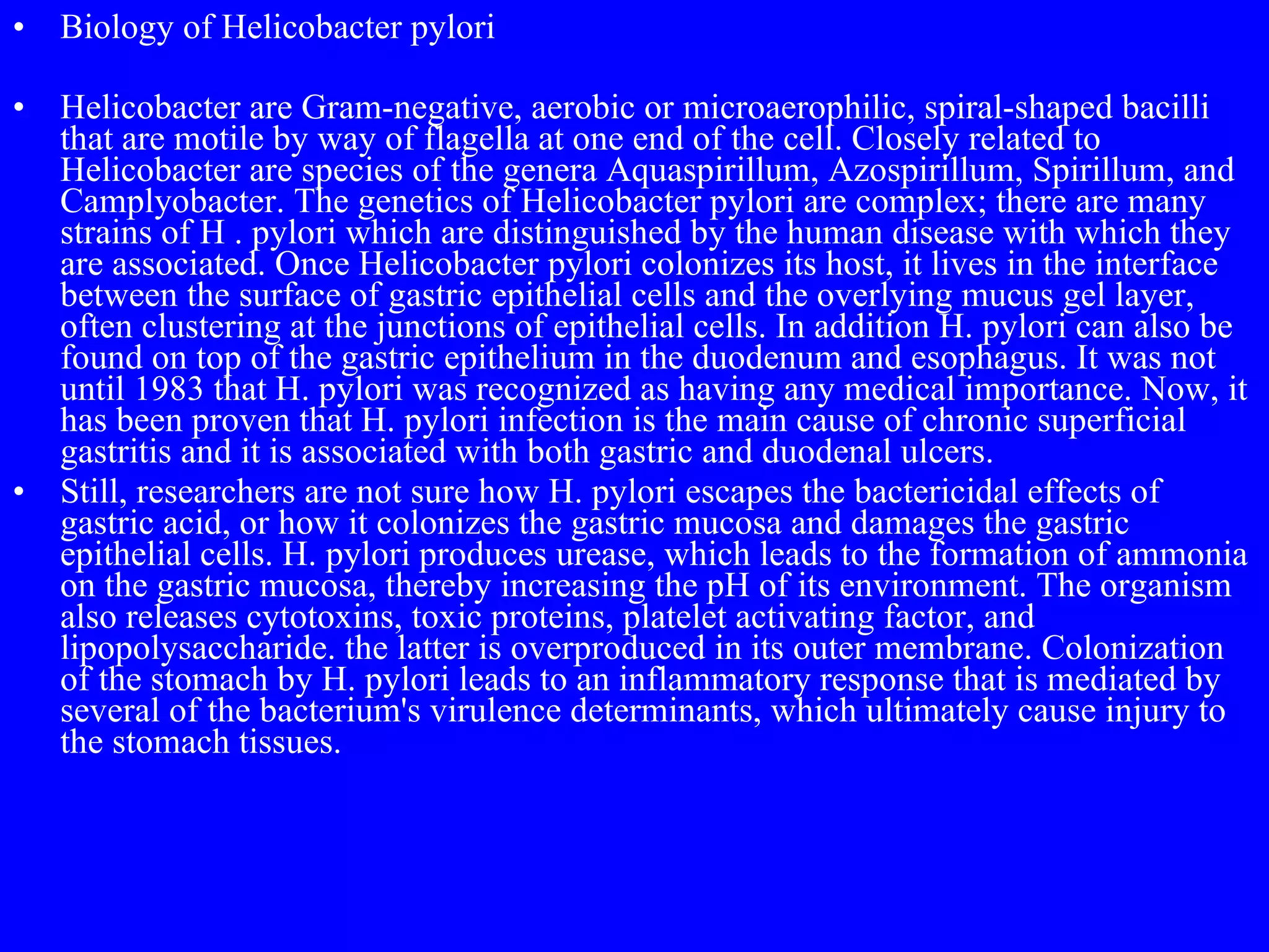 Biology of Helicobacter pylori Helicobacter are Gram-negative, aerobic or microaerophilic, spiral-shaped bacilli that are motile by way of flagella at one end of the cell. Closely related to Helicobacter are species of the genera Aquaspirillum, Azospirillum, Spirillum, and Camplyobacter. The genetics of Helicobacter pylori are complex; there are many strains of H . pylori which are distinguished by the human disease with which they are associated. Once Helicobacter pylori colonizes its host, it lives in the interface between the surface of gastric epithelial cells and the overlying mucus gel layer, often clustering at the junctions of epithelial cells. In addition H. pylori can also be found on top of the gastric epithelium in the duodenum and esophagus. It was not until 1983 that H. pylori was recognized as having any medical importance. Now, it has been proven that H. pylori infection is the main cause of chronic superficial gastritis and it is associated with both gastric and duodenal ulcers. Still, researchers are not sure how H. pylori escapes the bactericidal effects of gastric acid, or how it colonizes the gastric mucosa and damages the gastric epithelial cells. H. pylori produces urease, which leads to the formation of ammonia on the gastric mucosa, thereby increasing the pH of its environment. The organism also releases cytotoxins, toxic proteins, platelet activating factor, and lipopolysaccharide. the latter is overproduced in its outer membrane. Colonization of the stomach by H. pylori leads to an inflammatory response that is mediated by several of the bacterium's virulence determinants, which ultimately cause injury to the stomach tissues. 