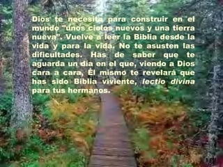 Dios te necesita para construir en el mundo "unos cielos nuevos y una tierra nueva". Vuelve a leer la Biblia desde la vida y para la vida. No te asusten las dificultades. Has de saber que te aguarda un día en el que, viendo a Dios cara a cara, Él mismo te revelará que has sido Biblia viviente,  lectio divina  para tus hermanos. 