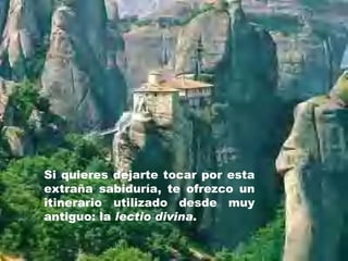 Si quieres dejarte tocar por esta extraña sabiduría, te ofrezco un itinerario utilizado desde muy antiguo: la  lectio divina . 